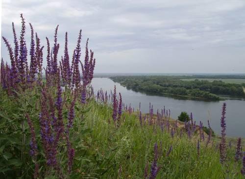 Гостиница Holiday Park Starodonye Константиновск